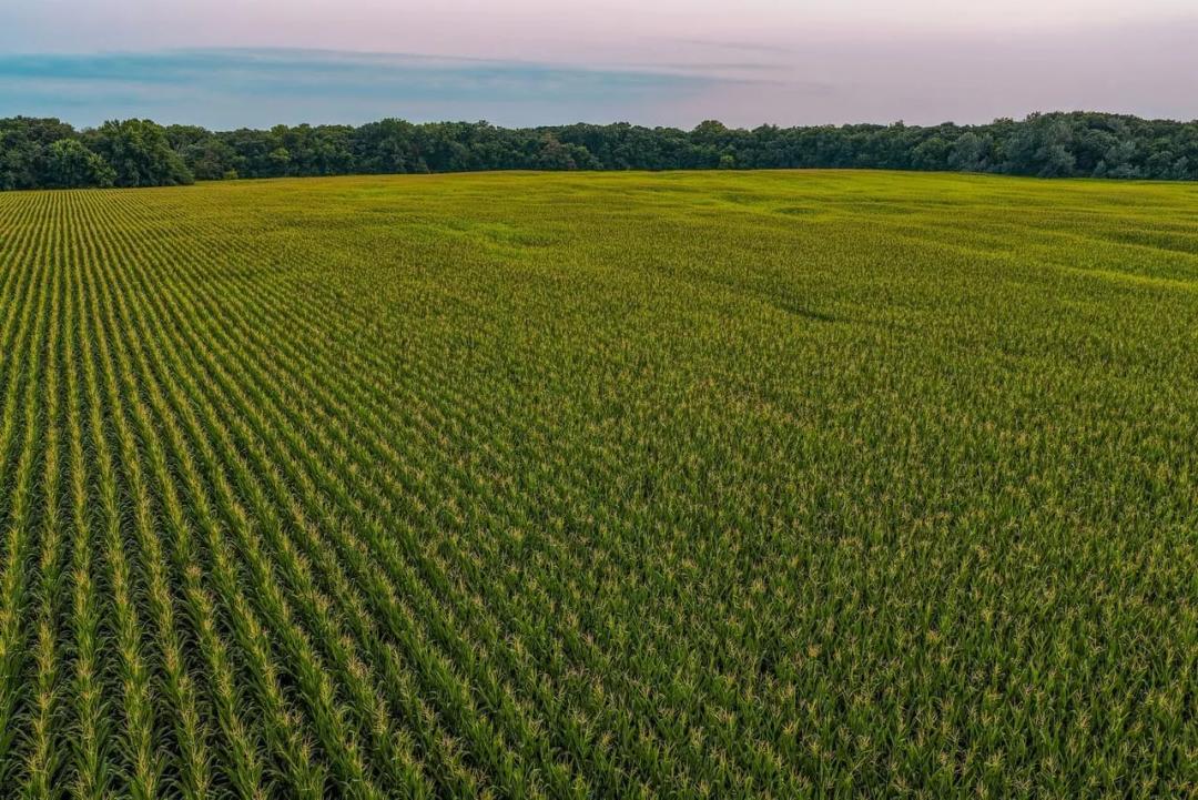 Listing #19630 - 160.00 acres in Hamilton County, IA