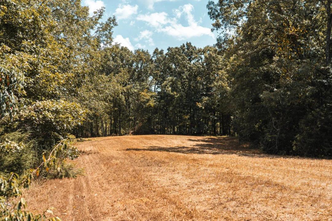 450 Acres with a Home and Camp House in Hardeman County, TN 