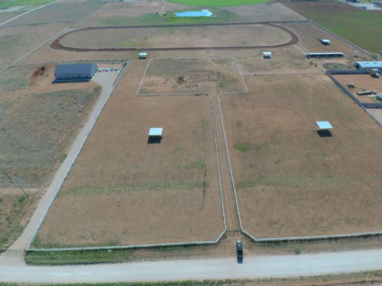 GARDENDALE DOWNS
