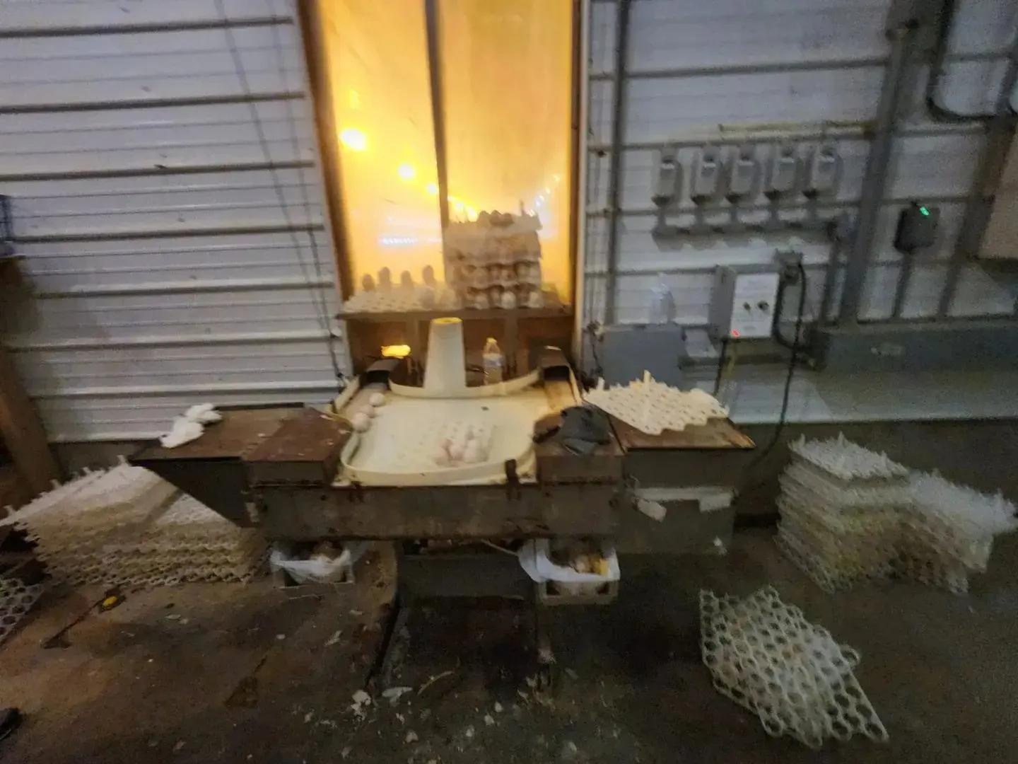 69810744-11