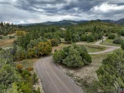 Meadow 31