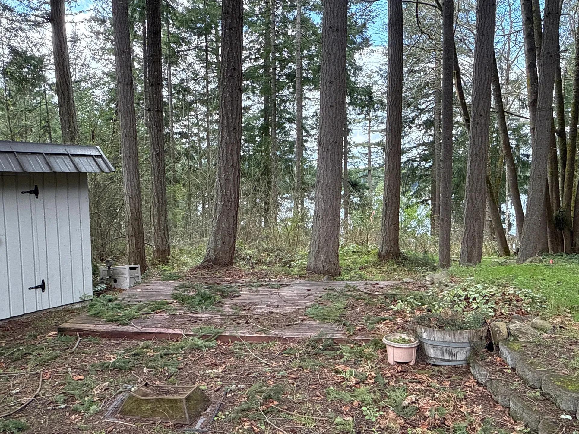 69856562-12