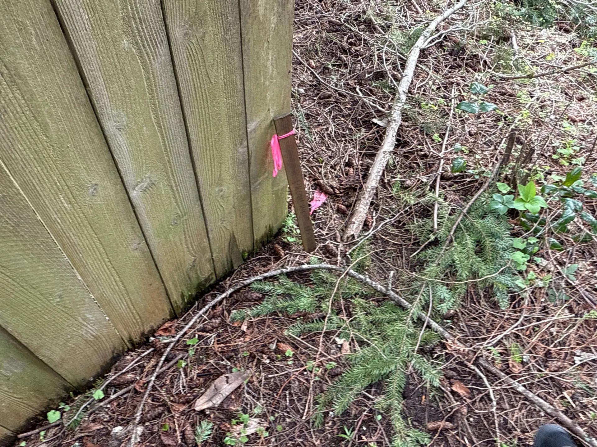 69856562-9