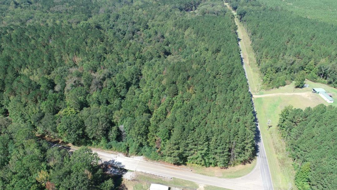68.6 Acres in Winston County, MS 