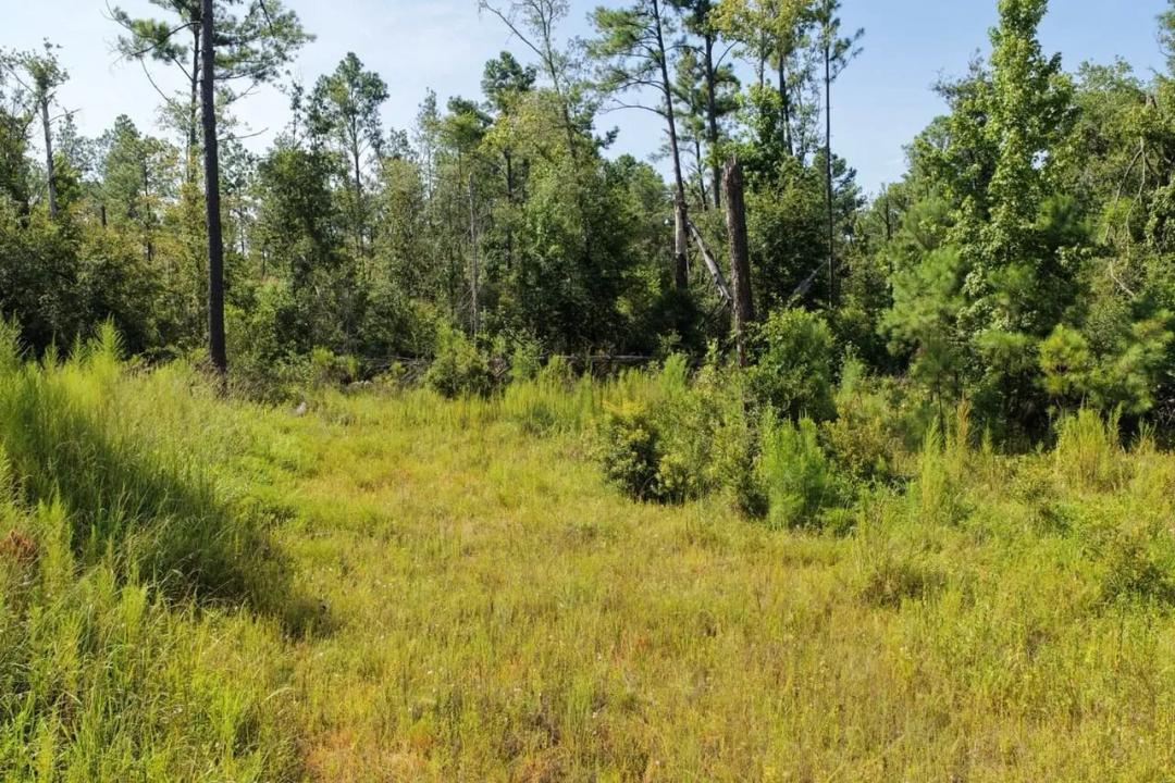76.64 Acres in Madison County 