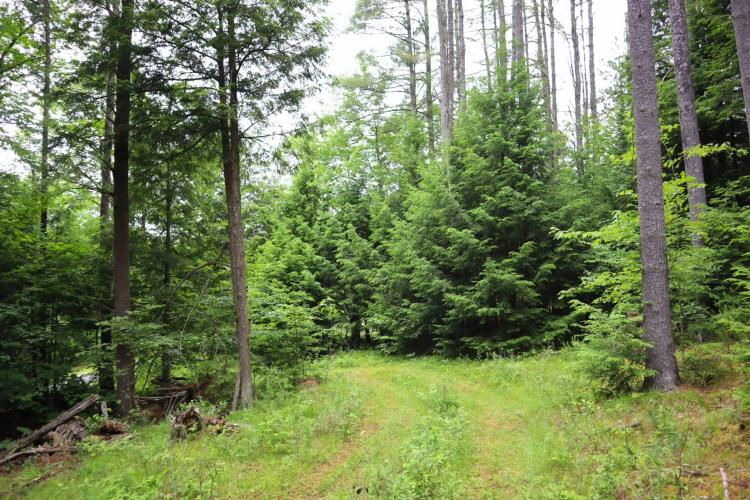 1.97 Acres at 0 Schroon River Rd