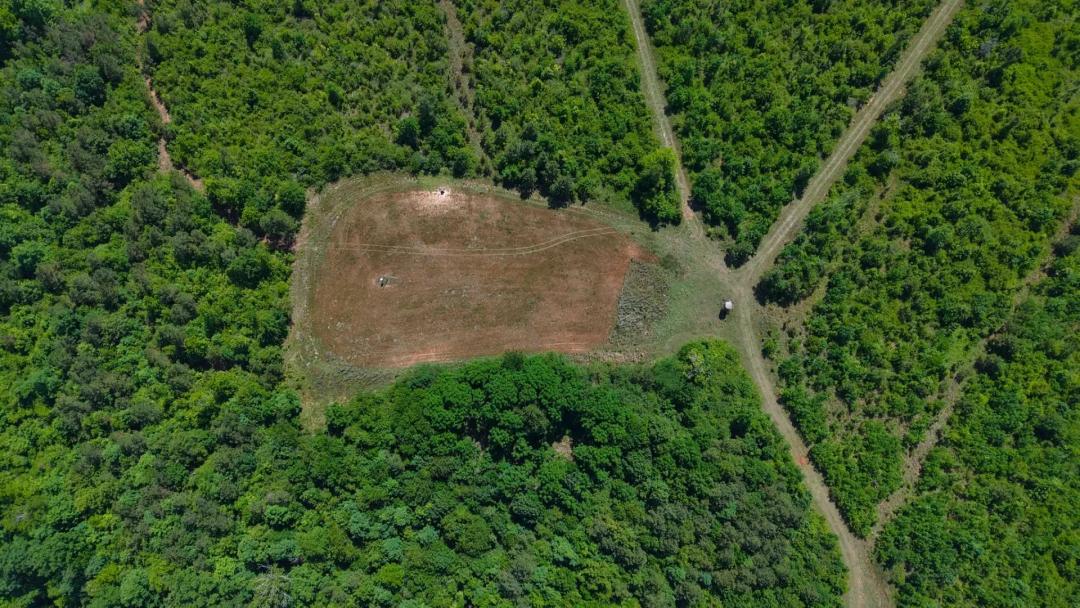 1,069.11 Acres in Autauga County, AL 