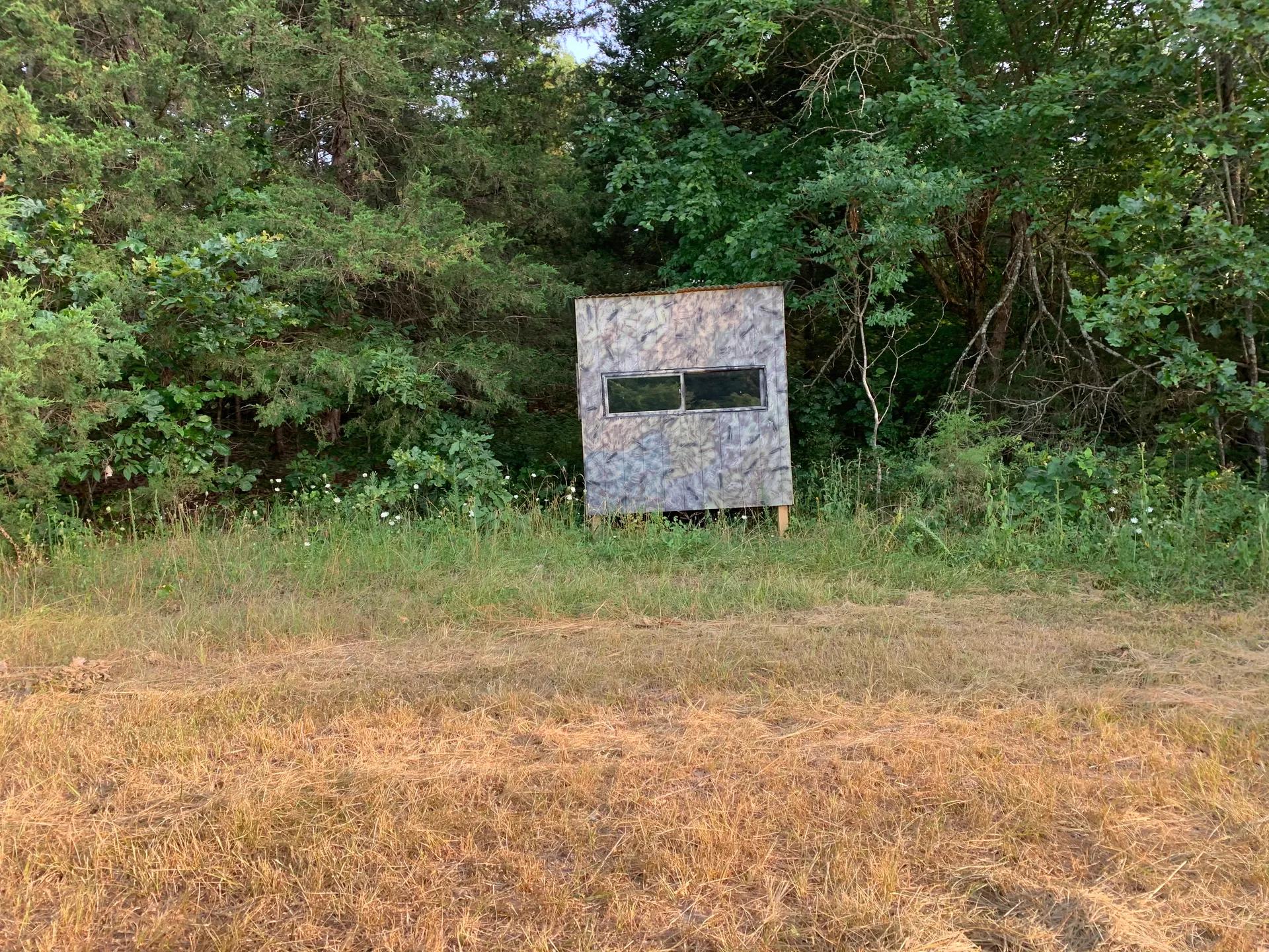 69921299-15