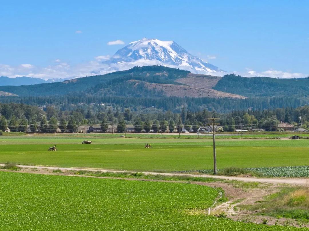 Mountain Harvest Farm