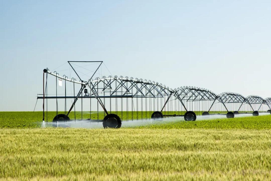 Crum Irrigated Farm