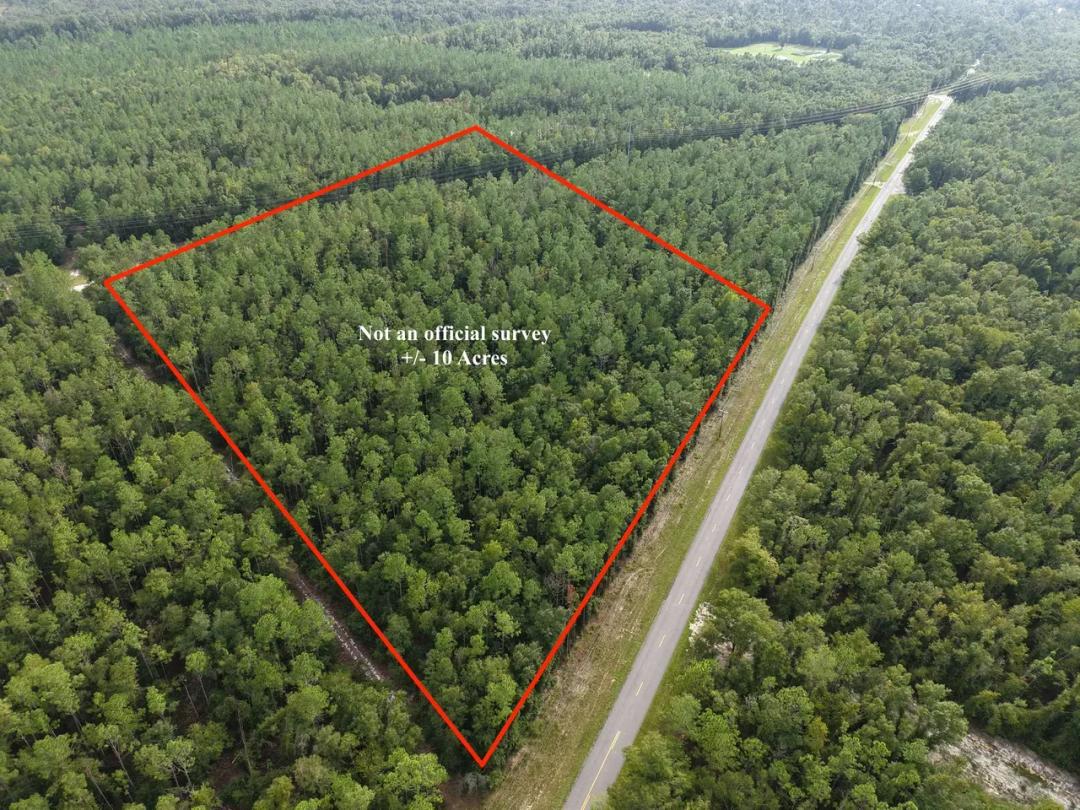 10 Acres near Peacock Springs