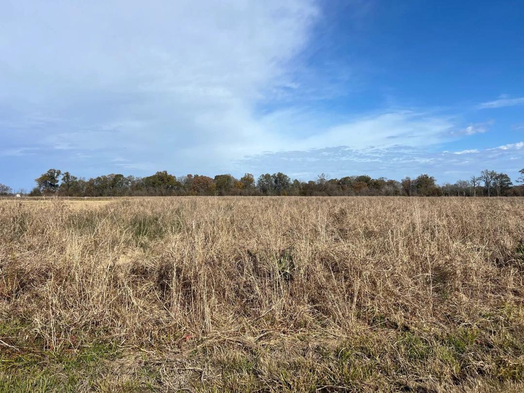 LA - Richland 28.8 acres +/-