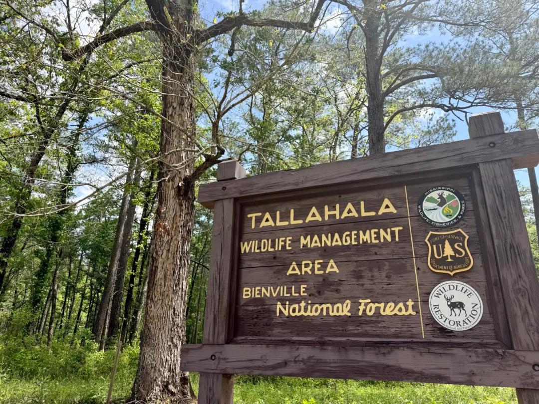 4.00 Acres at 0 Sun Road Tract