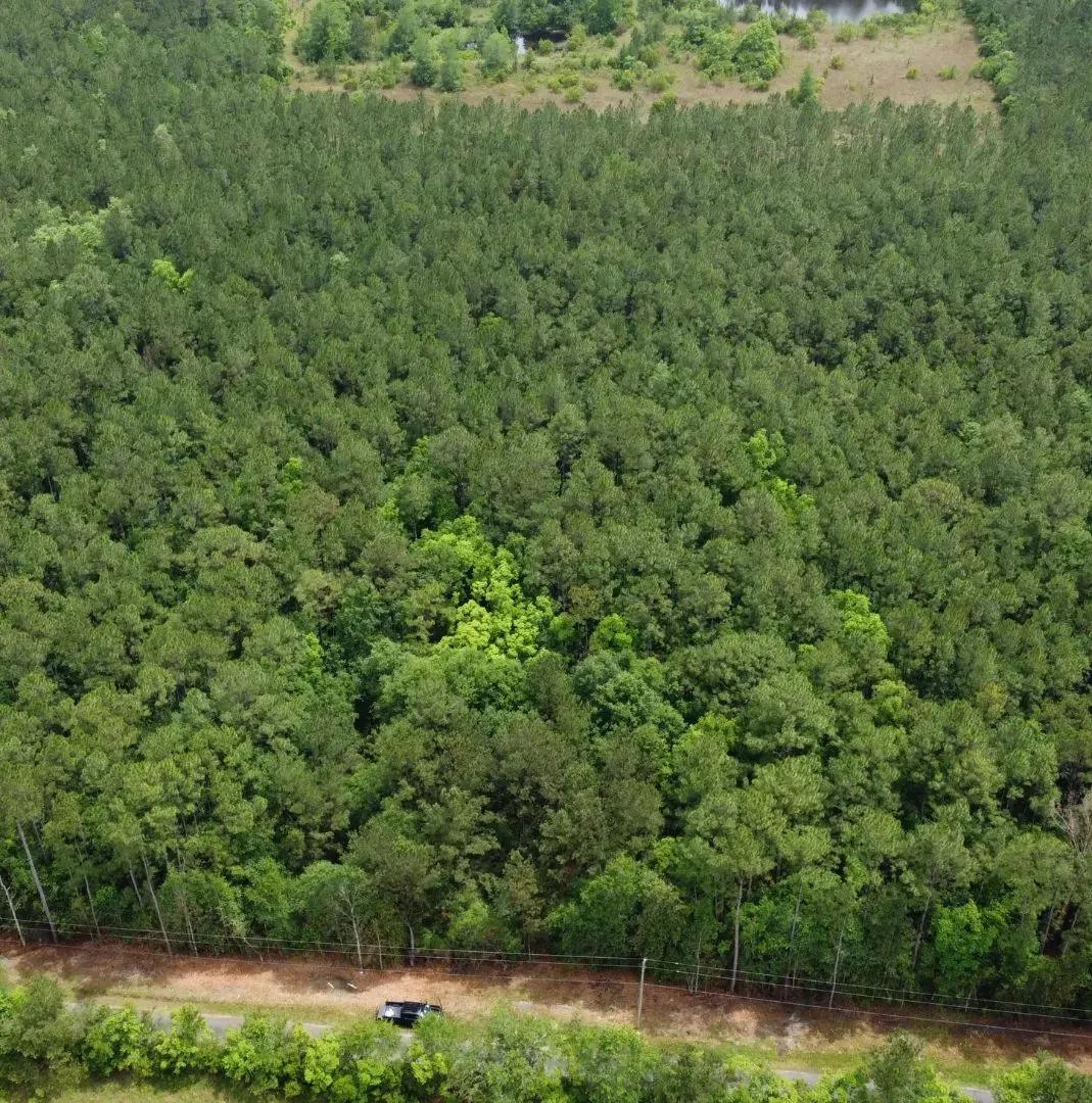 8.6 Acres in Harrison County in Saucier, MS