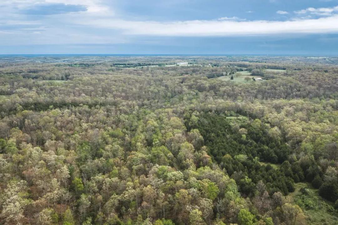 Cleavesville Road Farm Auction Tract 2
