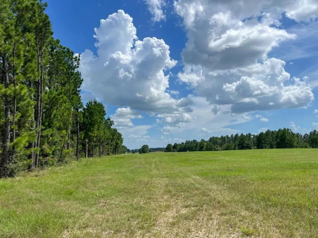 165 Acres | T-22B | State Highway 94 | Trinity Forest