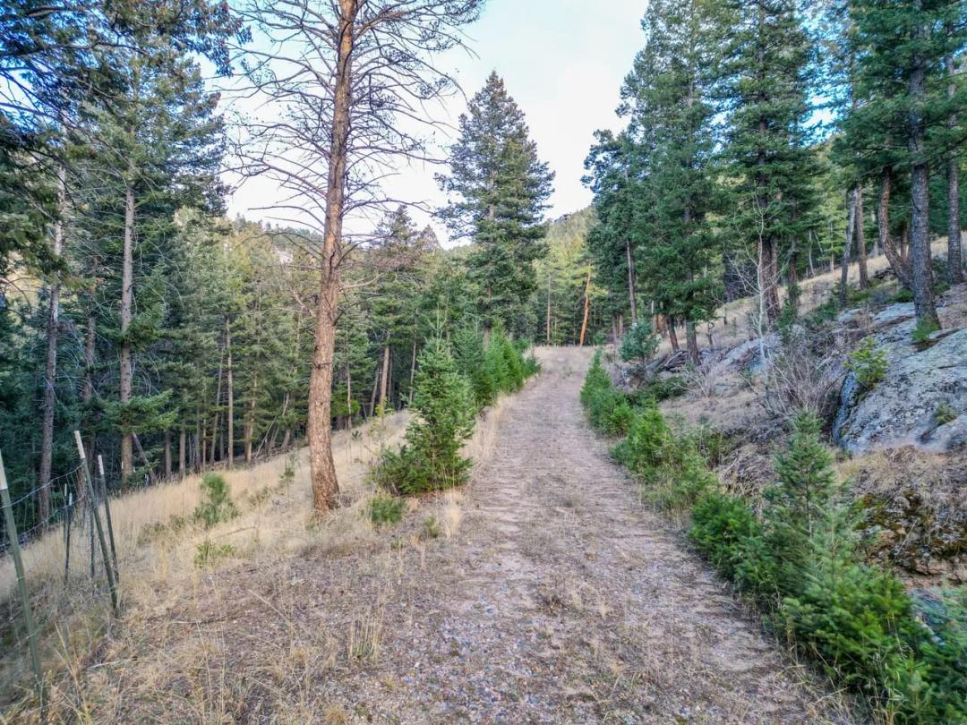 Ready-to-Build 1.57 Acres in Evergreen, CO