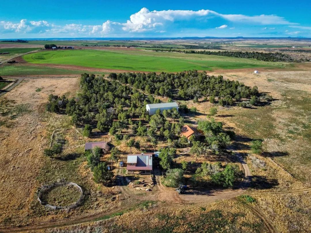 Cortez CO Irrigated Farm for Sale