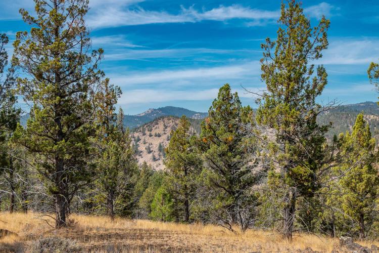 156.13 Acres at 15315 NE Schnieder Way