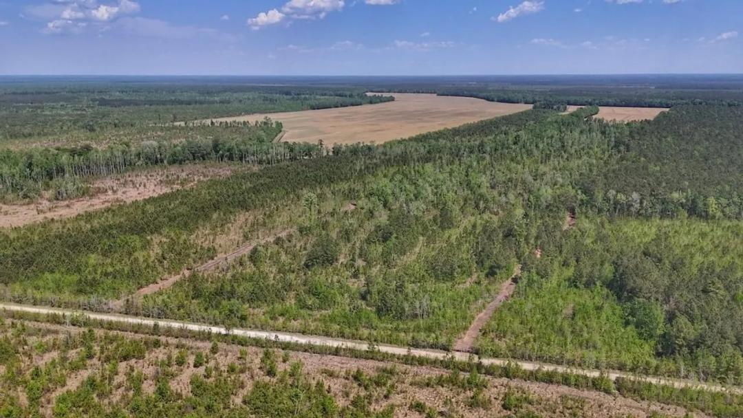 39 acres of Recreational Timberland For Sale in Craven County!