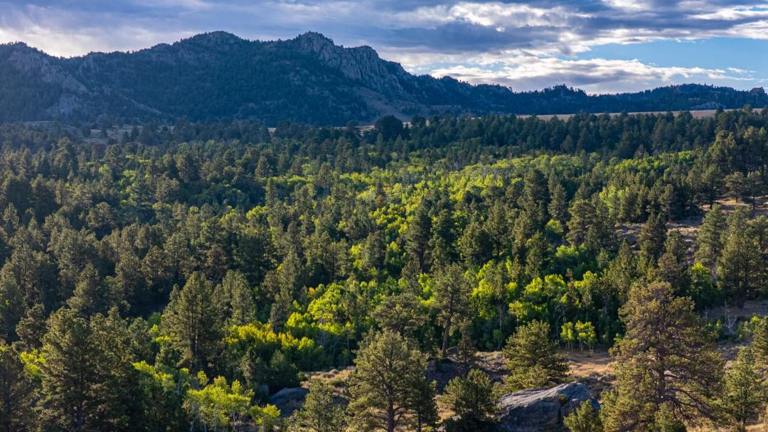 Echo Mountain Ranch