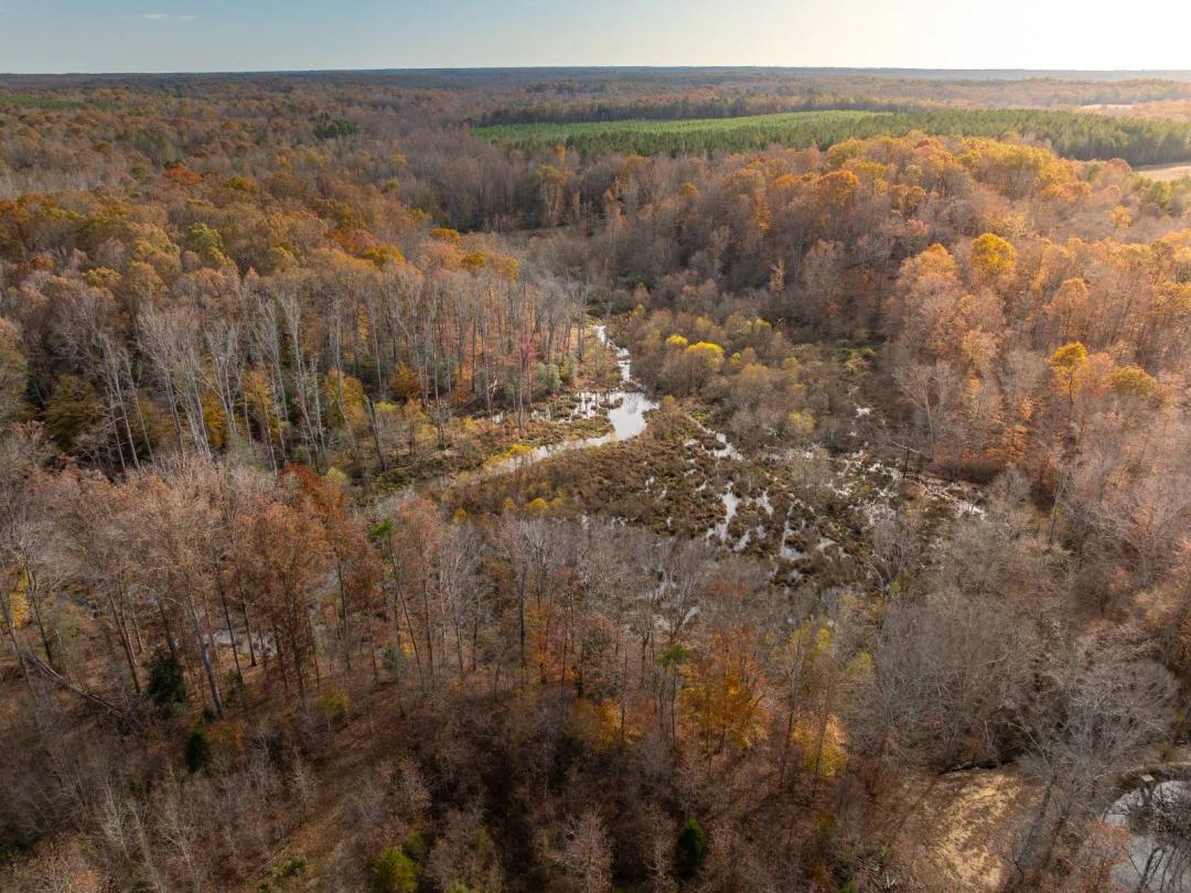 ±17.68 Acre Homesite in Pelzer, SC