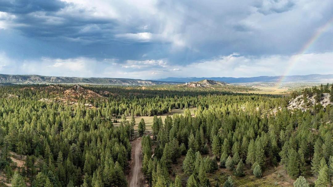 Elk Ridge Estates