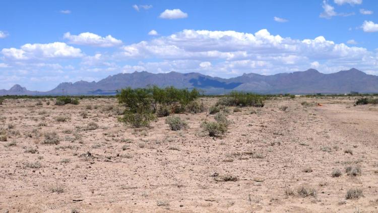 3 Residential Lots in Southern New Mexico