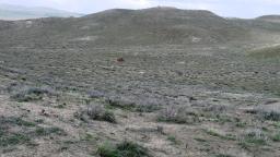 70328913-19