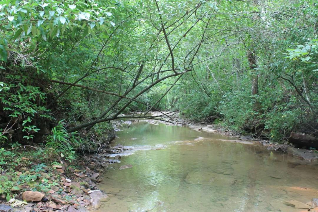 Rare opportunity to own 1016.06+/-acres of breathtaking mountain property in Huntsville TN. Located off of Norma Road