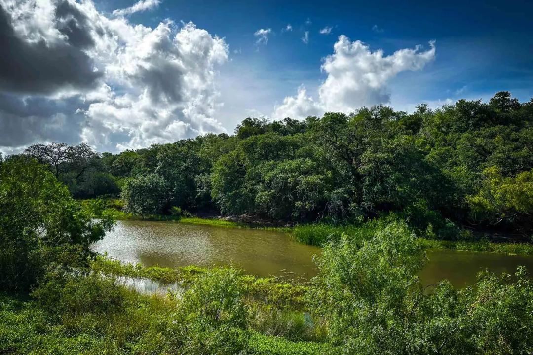 Wilson County | BRP Ranch | S of Elmendorf