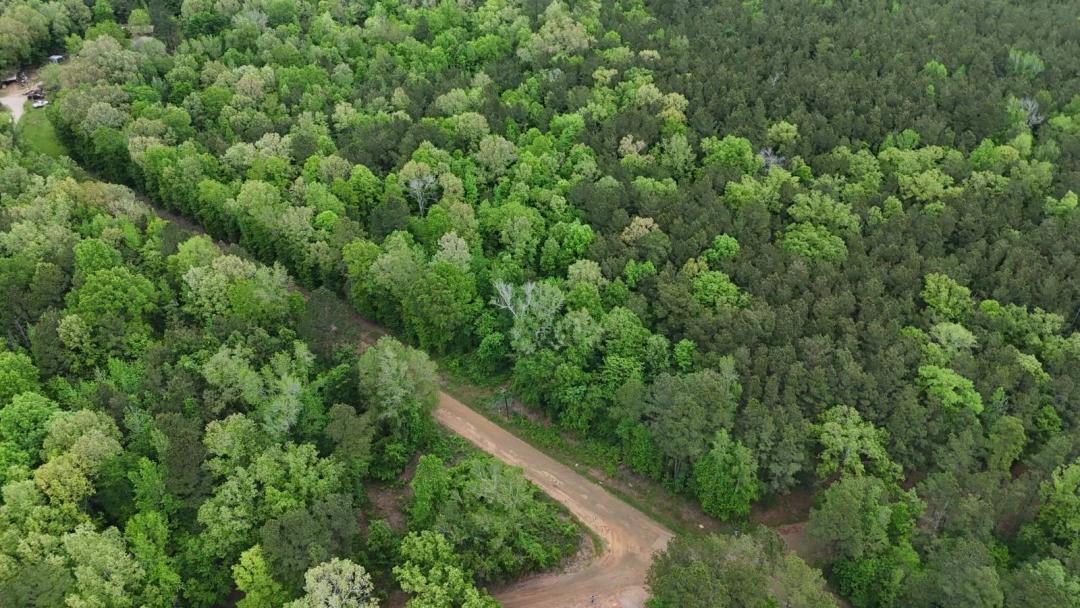 COUNTRY HOMESITE OR HUNTER'S PARADISE
