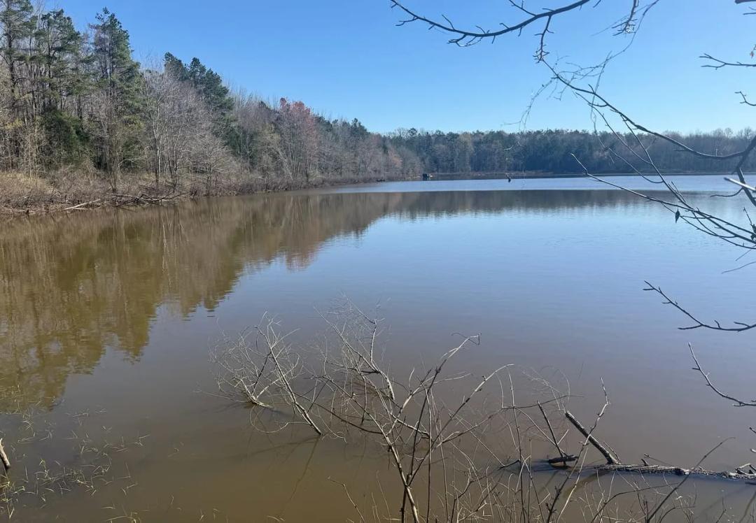 Honey Fork Lake