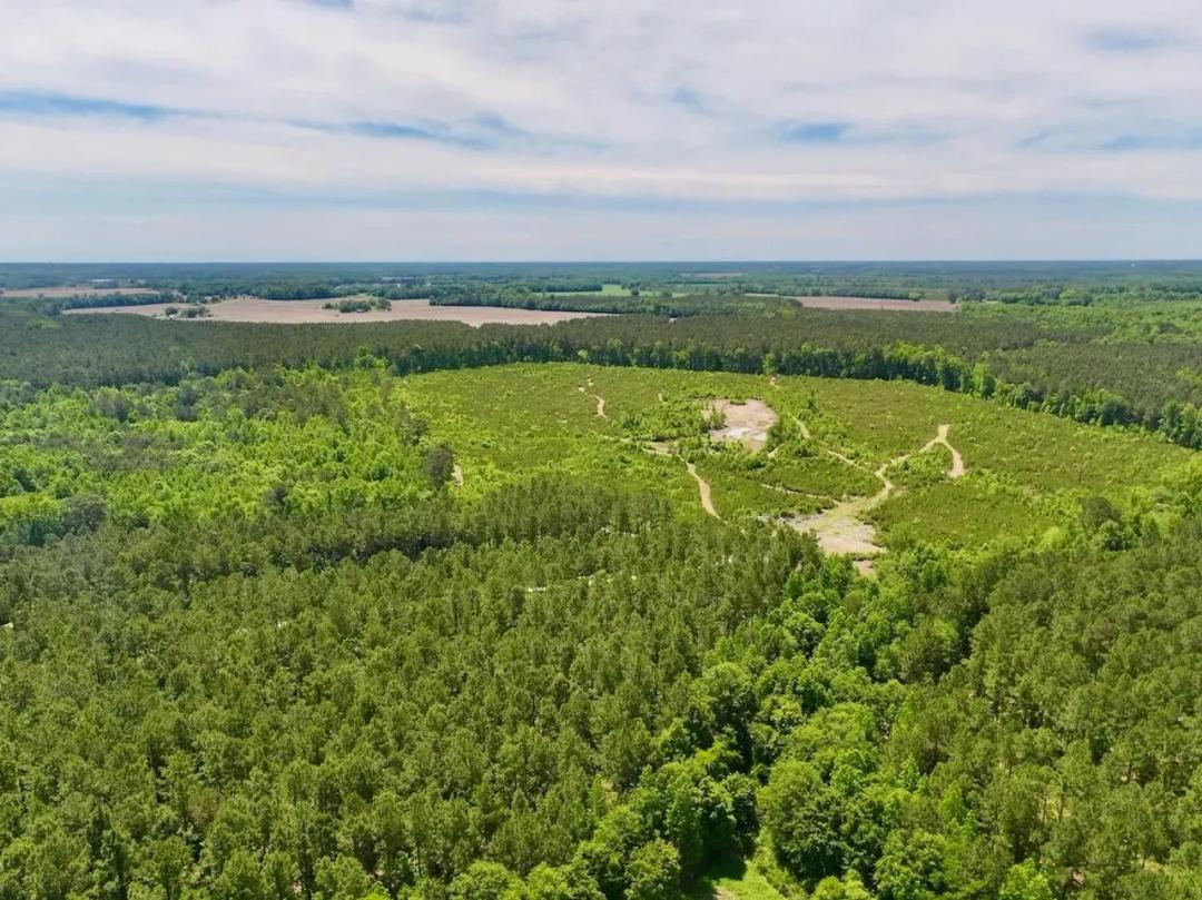 UNDER CONTRACT!!  89.19 acres of Residential and Recreational Land For Sale in Lenoir County NC!