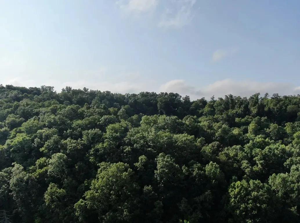 Mountainous Retreat in Midway, Greene County, East Tennessee