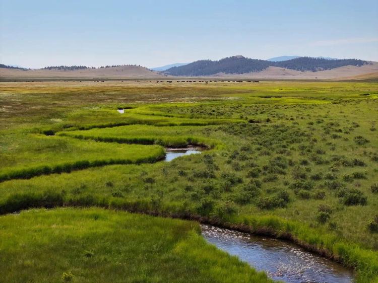 Arrowhead Ranch