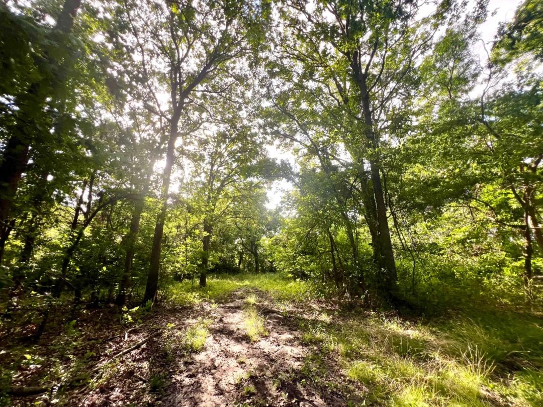 A hidden setting for your dream home!