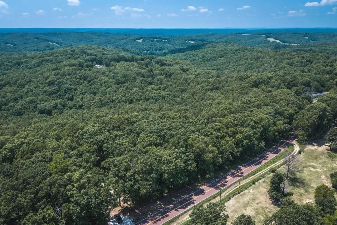 Sugar Tree Hollow 15