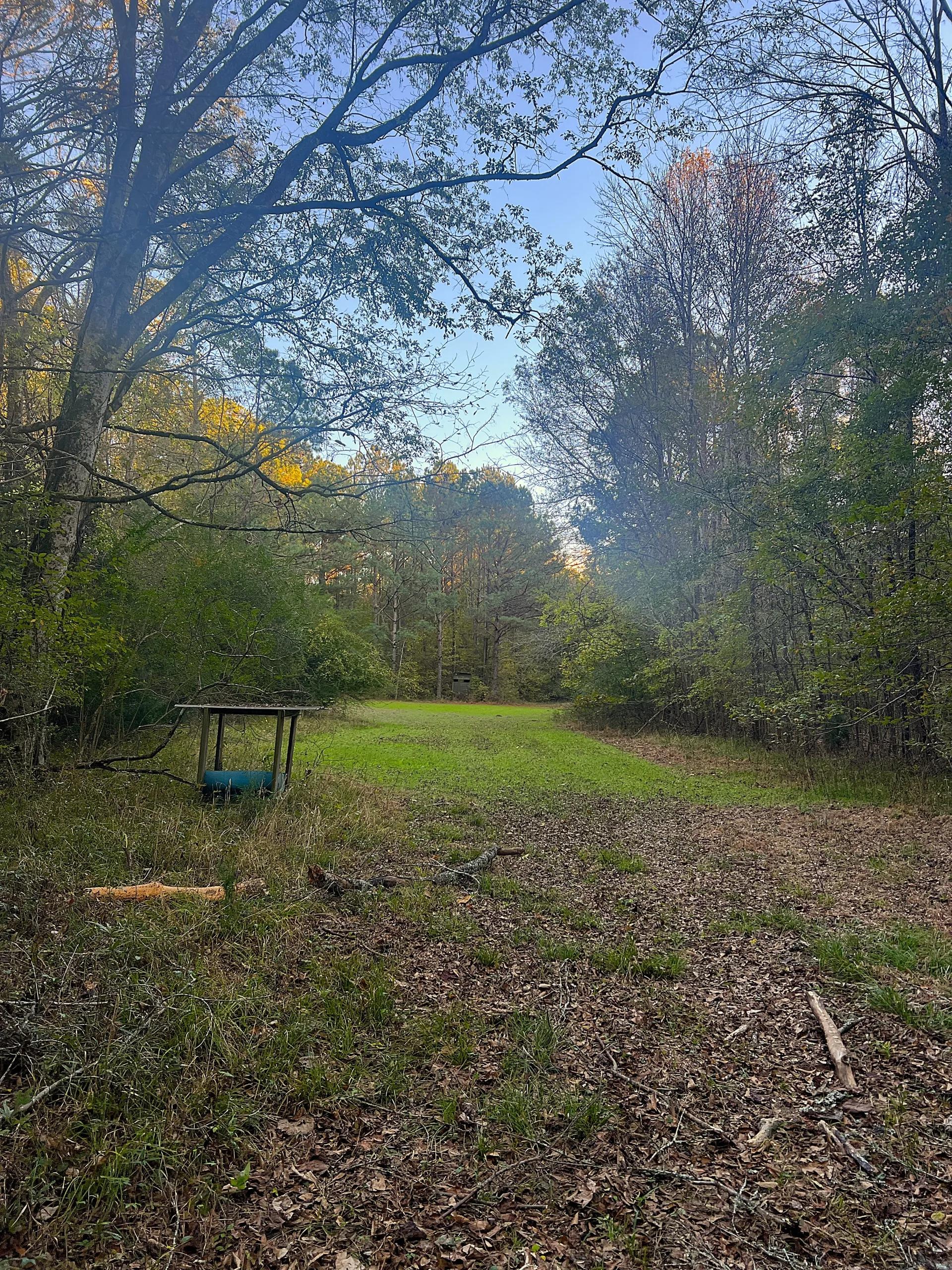 70513528-24