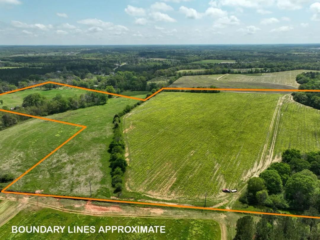 80 Acre Prime Development, Residential or Recreation Opportunity in Dothan! Minutes from Ross Clark Circle