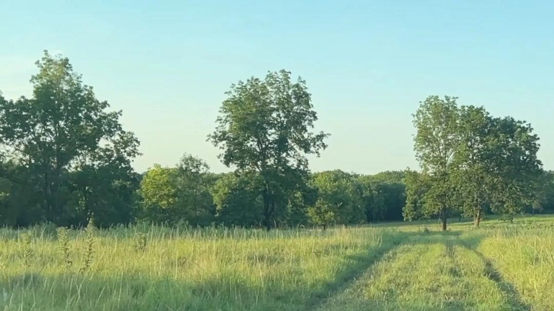  Productive Farmland . Excellent Hunting Ground