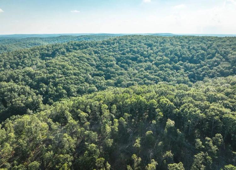 Aldrich Valley Acres