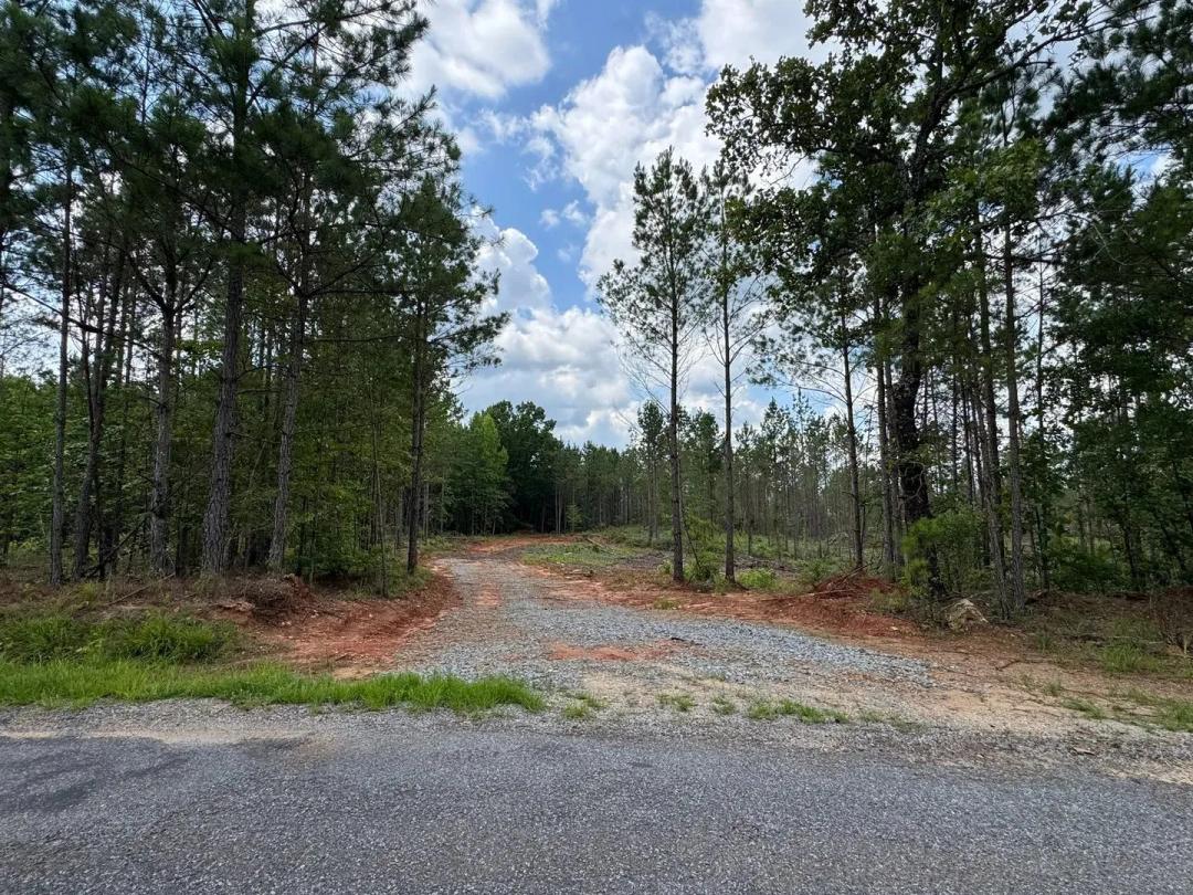 25.74 +/- Acres, Parker Island Road, Coosa County, AL