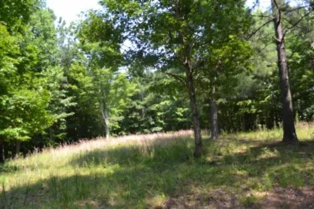 7.26 AC LOCATED IN THE COUNTRY OF TN / CLOSETO FALL CREEK FALLS & CHATTANOOGA TN