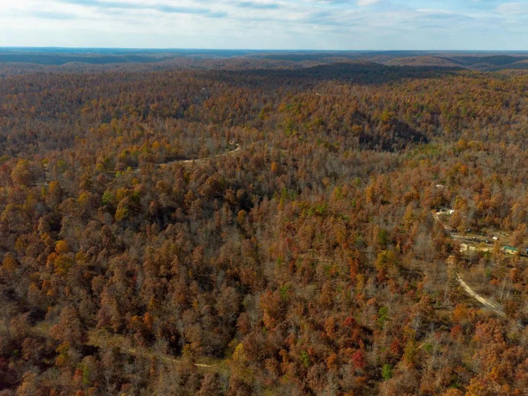 10.29 Acres of Land for Sale in Birch Tree, MO