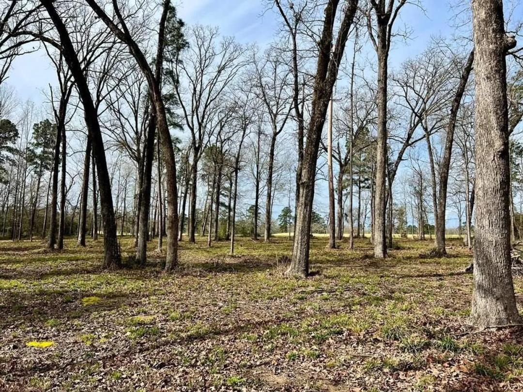 3.48 Roberts Lane Diboll, TX 75941