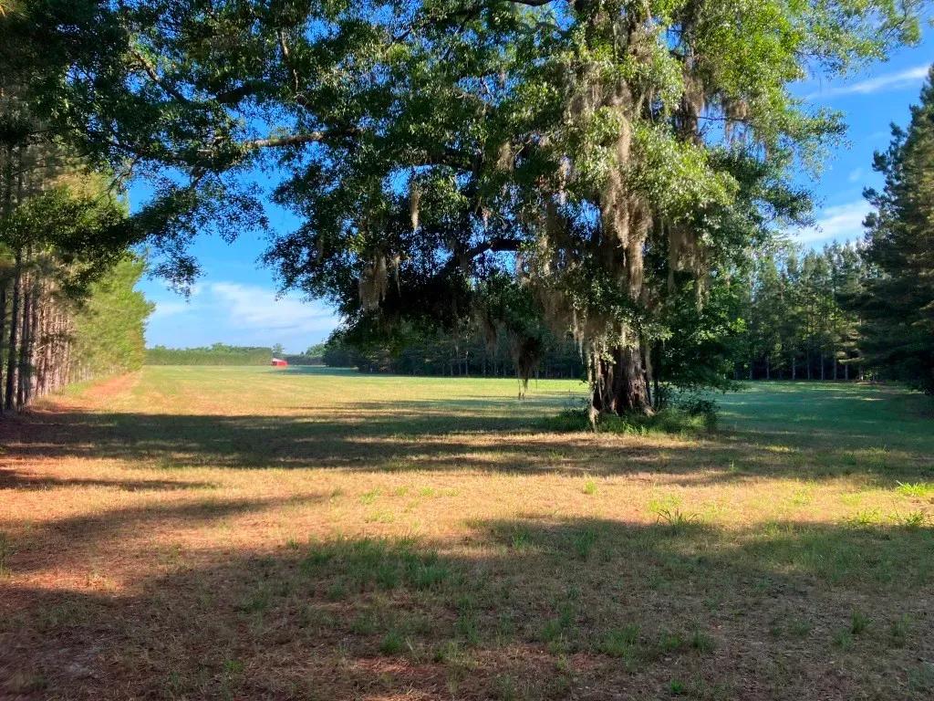 Black Creek Retreat