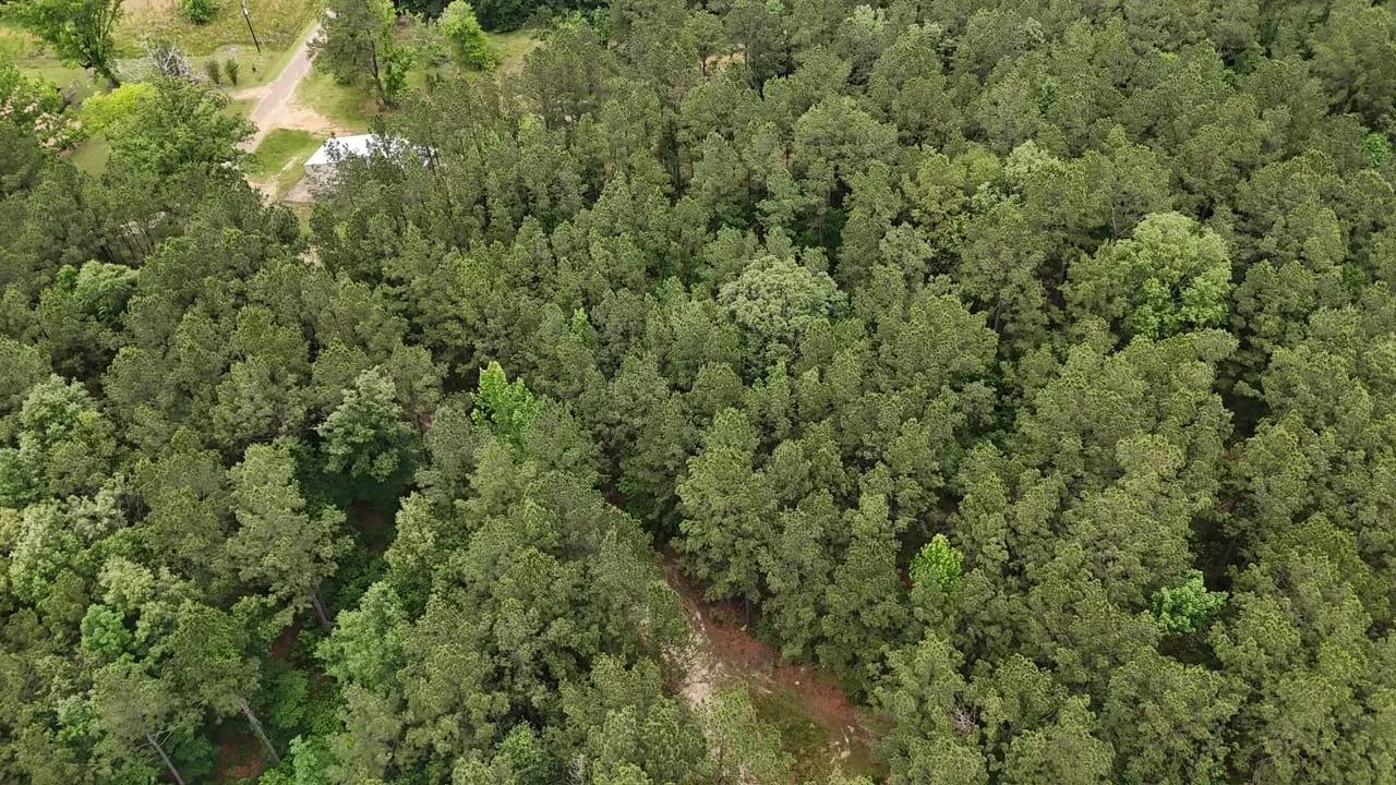 7075404-12