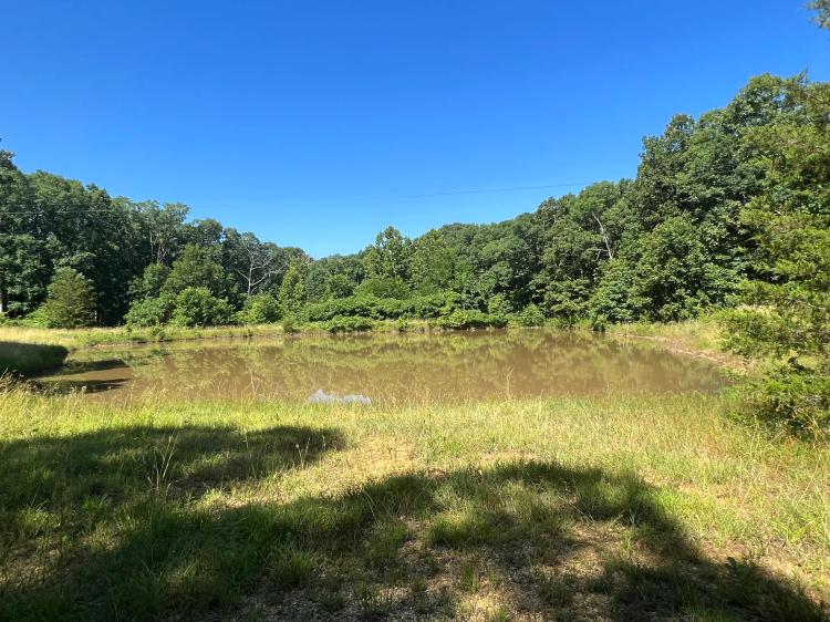 Benton County 59 Acres with Lots of Extras