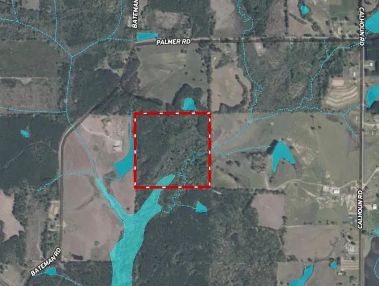 40.35 Acres in Winston County, MS 